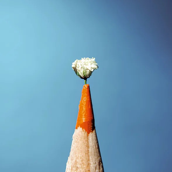 Teaching for Impact: Less is More